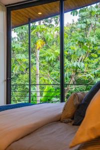 Riu Haus , Isla Tortuga & Bioluminescence,Blue Zone Home