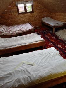 Eko Konak Purisic