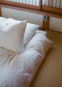Akitsu Ryokan