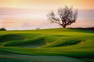 Oceanview 3BR Condominium in Golf Community by The Agency Baja