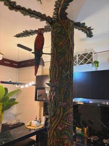 Iguana Host