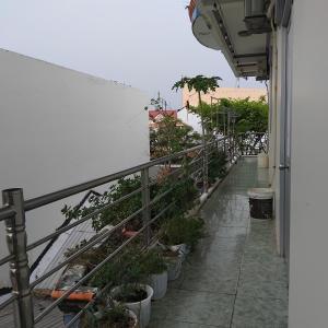 Homestay month