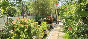 AnBang Morning Glory Beach Homestay 호이안 안방비치 숙소호텔