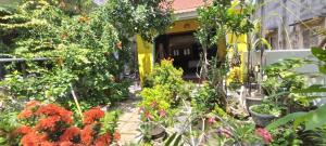 AnBang Morning Glory Beach Homestay 호이안 안방비치 숙소호텔