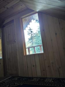 Alpine heaven forest view