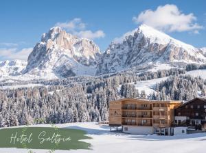 Saltria - your Alpine experience