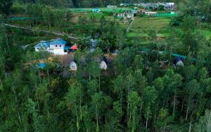 Bhramaram resort