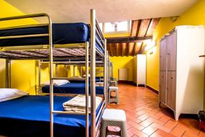 Single Bed in Female Dormitory Room