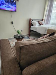 Premium Zambia Apartment