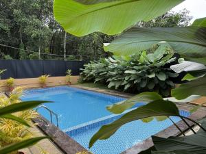 Kabani luxe Private Pool Villa in Wayanad