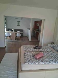 Apartman Justina Rab