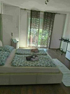 Apartman Justina Rab