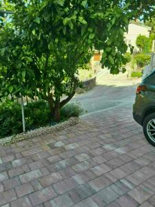Apartman Justina Rab