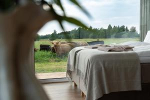 Pere Talu Stay - Pärnumaa