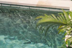 1BR Peaceful Private Villa Near Tanah Lot & Canggu