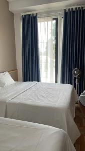 Emily Hotel