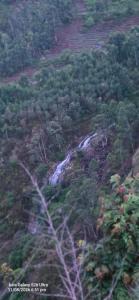PVA farms KODAIKANAL