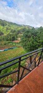 PVA farms KODAIKANAL