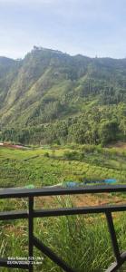 PVA farms KODAIKANAL
