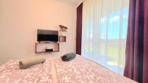 Sea & Forest Retreat