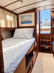 Domus Boat Experience