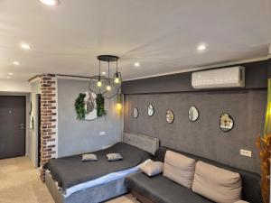 Tomis City Studio