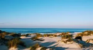 Sun & Wave Apartment - 佩尼契