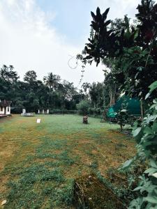 Illam