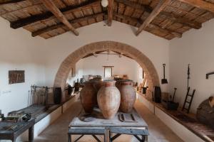 Azienda Agricola Santo Pietro