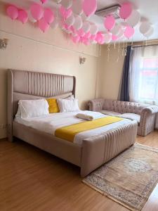 Shellys Nest