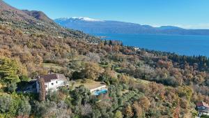 Villa Ludovica