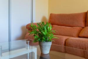 Apartamento Torremolinos