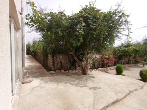 Villa Asia - Essaouira