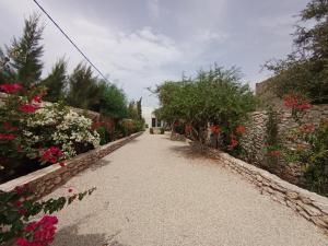 Villa Asia - Essaouira