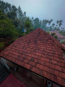 Steyara Wayanad
