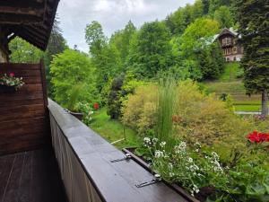 Apartament przy wodospadzie Wilczki - Śnieżnik
