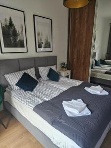 Apartament przy wodospadzie Wilczki - Śnieżnik