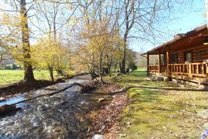 Trout Creek Cabin- Right on the Creek