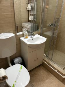 Astra Residence Romană