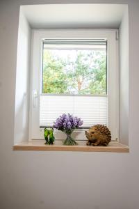 Apartament na wynajem