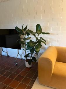 Seeidylle in der Natur - Urlaub am Hennesee