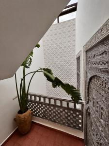 Riad Taraza