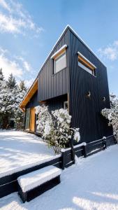 Refugio Black
