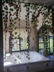 Departamento con jacuzzi, estacionamiento privado