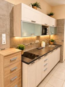 Váci & Danube City Center Apartment