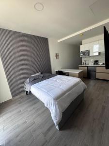 Modern apartment in downtown Monterrey