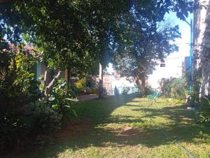 The Urban Forest