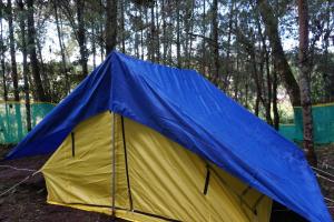 Ziro Music Festival Homestay Camping Tour by Safarnama Stays