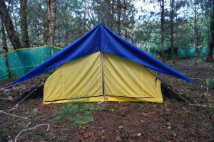 Ziro Music Festival Homestay Camping Tour by Safarnama Stays
