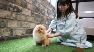 수원행궁 넘버25